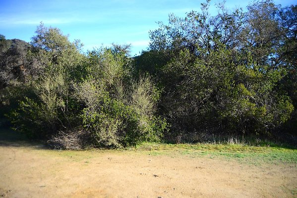 DSC 1205