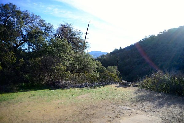 DSC 1206