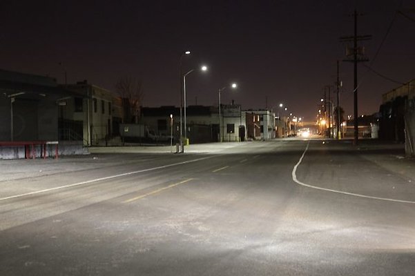 IMG 03981