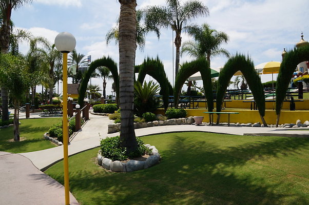 DSC06240
