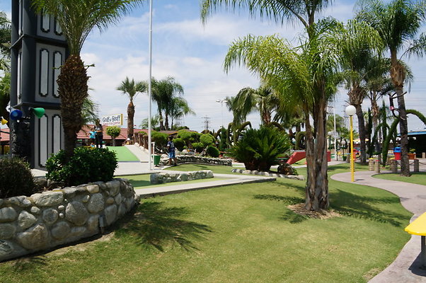 DSC06242
