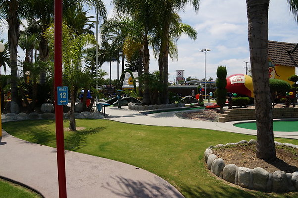 DSC06235