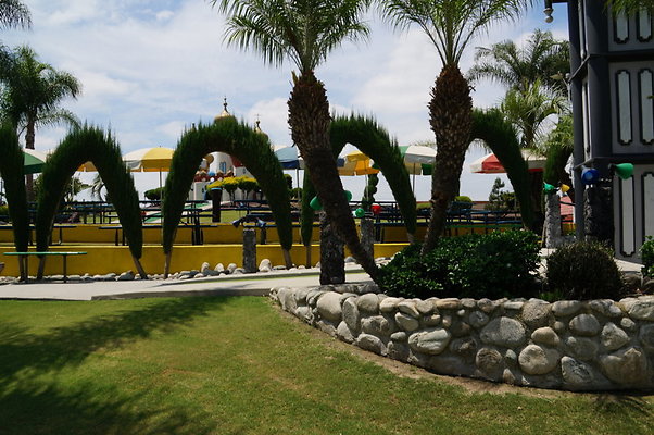 DSC06241