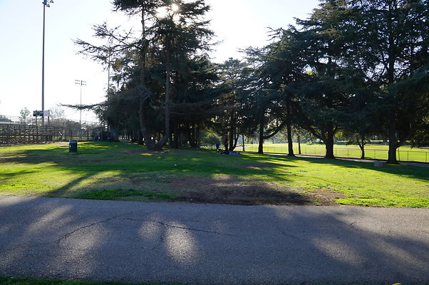 Cheviot.Park.Green.Sidewalk.02