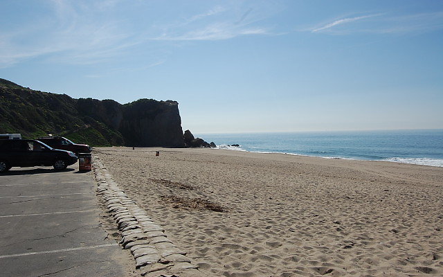 DSC 0079