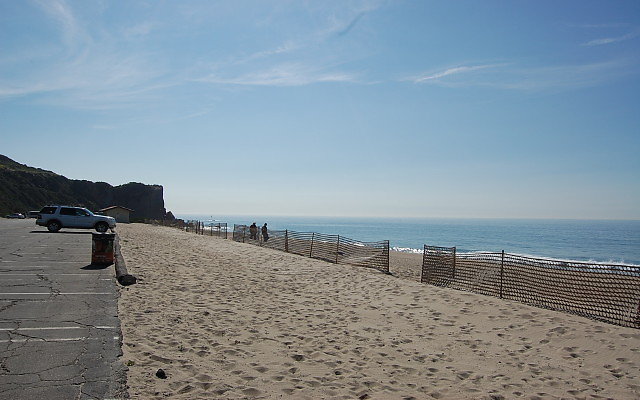 DSC 0082