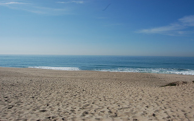 DSC 0080