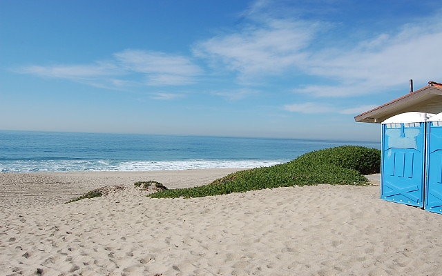 DSC 0081