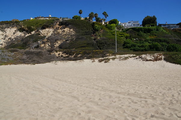 DSC03084