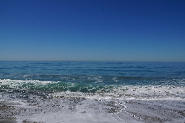 DSC03094