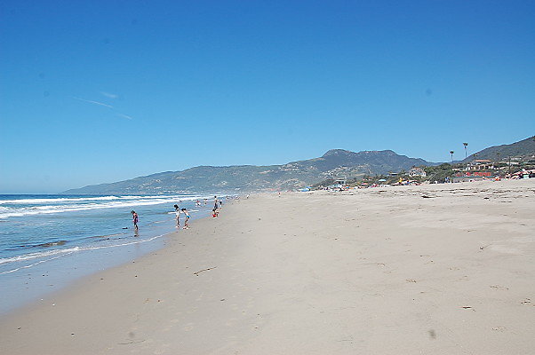 DSC 0082