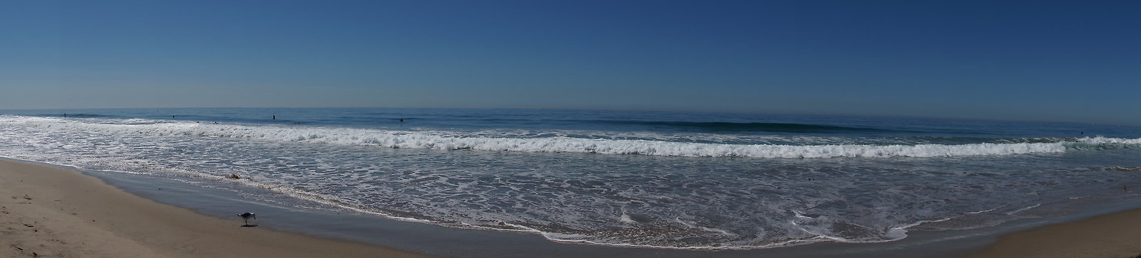 DSC03171