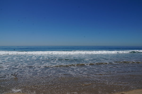 DSC03165