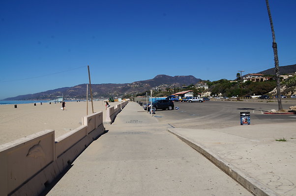 DSC03184
