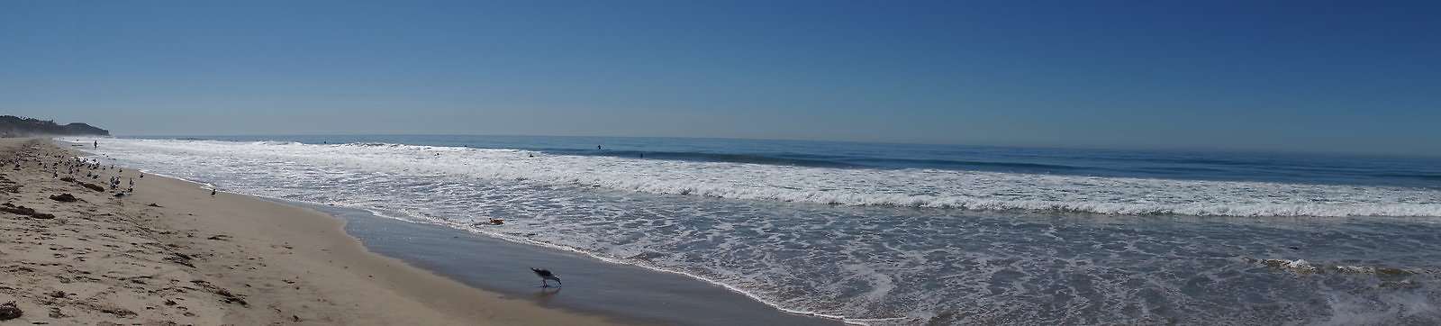 DSC03170