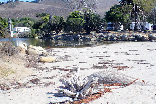 IMG 9778