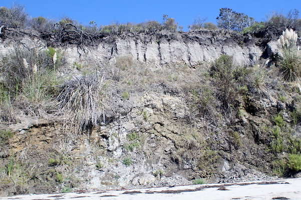 IMG 9789