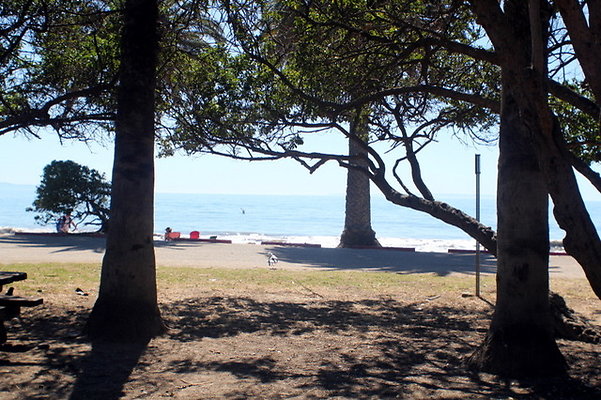 IMG 9885