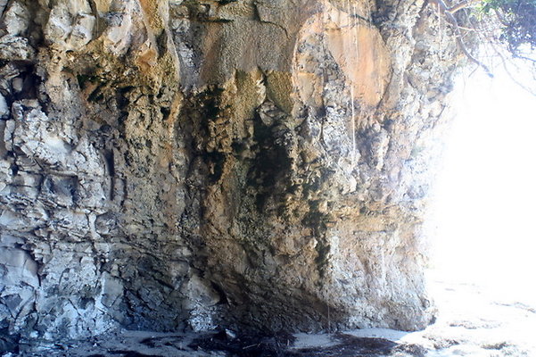IMG 9809