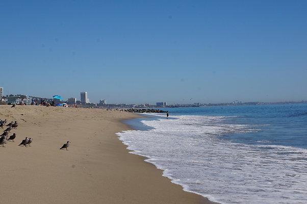 WIll Rogers.Beach.Towers.6.To.7.07