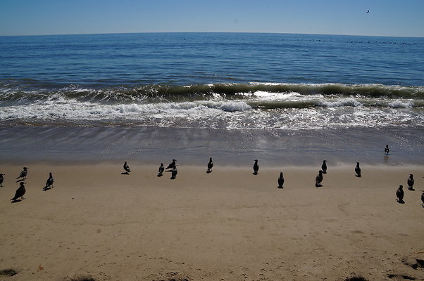 WIll Rogers.Beach.Towers.6.To.7.26