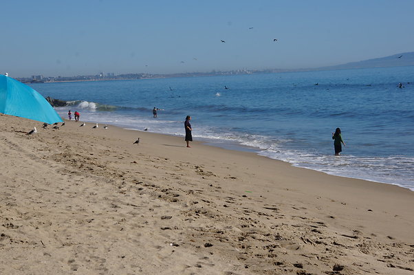 WIll Rogers.Beach.Towers.6.To.7.61