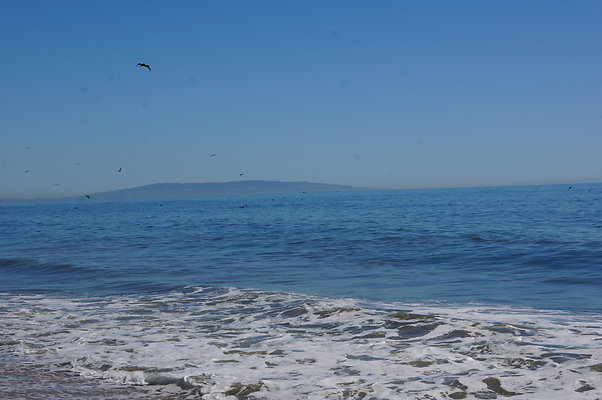 WIll Rogers.Beach.Towers.6.To.7.08