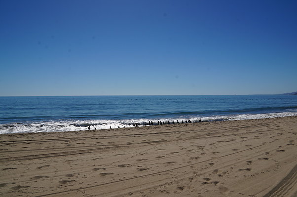 WIll Rogers.Beach.Towers.6.To.7.15