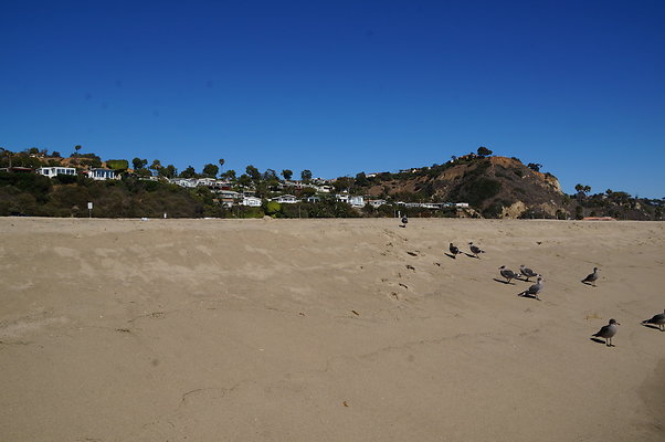 WIll Rogers.Beach.Towers.6.To.7.31