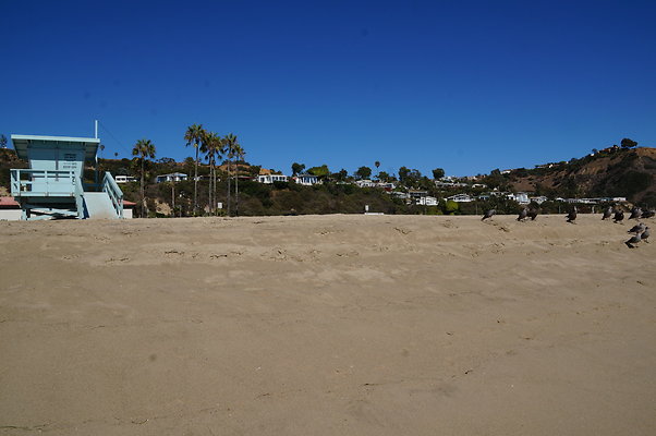 WIll Rogers.Beach.Towers.6.To.7.03