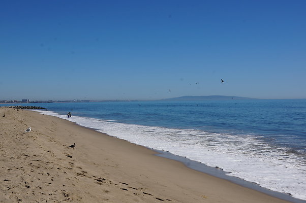 WIll Rogers.Beach.Towers.6.To.7.19