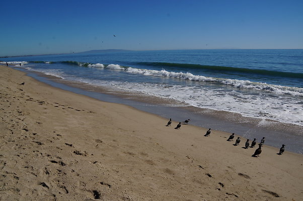 WIll Rogers.Beach.Towers.6.To.7.22