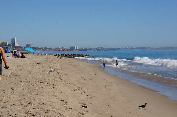 WIll Rogers.Beach.Towers.6.To.7.29