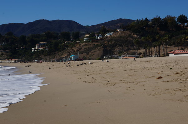 WIll Rogers.Beach.Towers.6.To.7.123