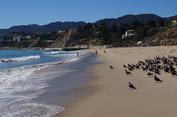 WIll Rogers.Beach.Towers.6.To.7.38