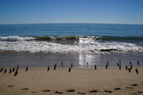 WIll Rogers.Beach.Towers.6.To.7.23