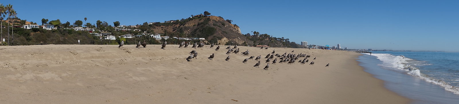 WIll Rogers.Beach.Towers.6.To.7.09