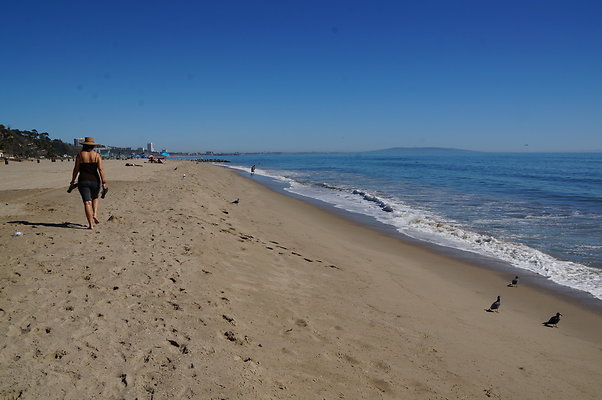 WIll Rogers.Beach.Towers.6.To.7.24a