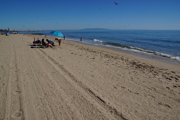 WIll Rogers.Beach.Towers.6.To.7.58