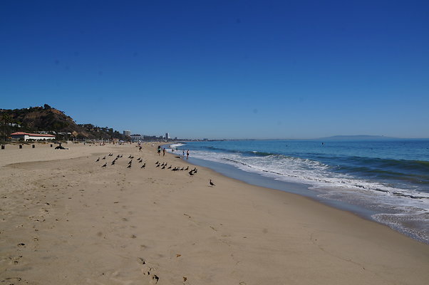 WIll Rogers.Beach.Towers.5.To.6.15