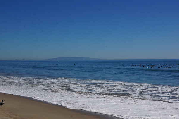 WIll Rogers.Beach.Towers.5.To.6.23