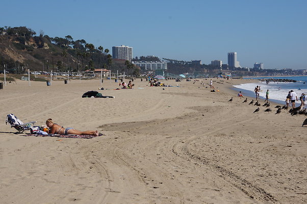 WIll Rogers.Beach.Towers.5.To.6.07