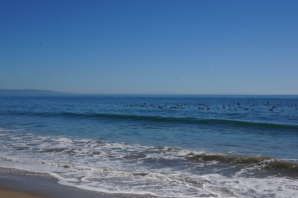 WIll Rogers.Beach.Towers.5.To.6.21
