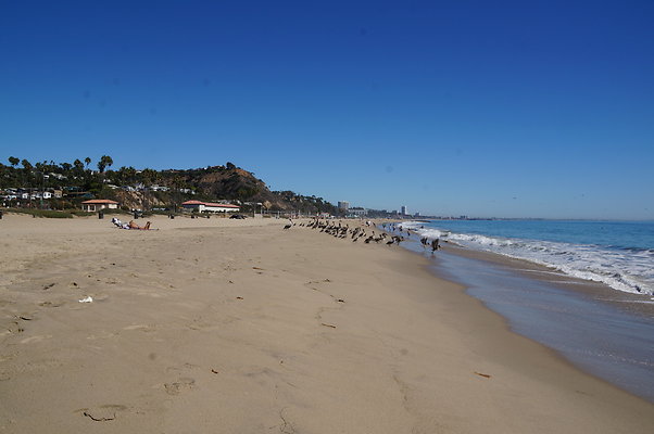 WIll Rogers.Beach.Towers.5.To.6.11