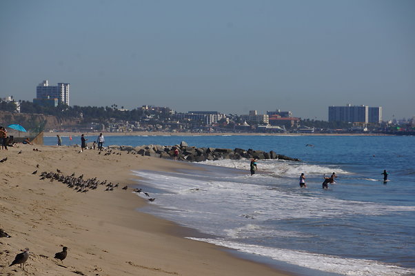 WIll Rogers.Beach.Towers.5.To.6.52