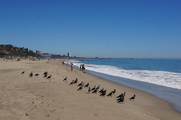 WIll Rogers.Beach.Towers.5.To.6.20