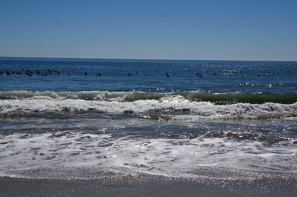 WIll Rogers.Beach.Towers.5.To.6.22