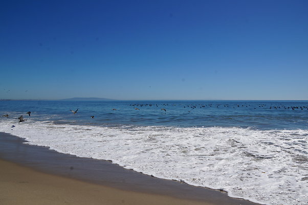 WIll Rogers.Beach.Towers.5.To.6.12