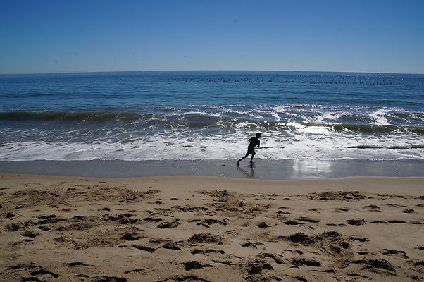 WIll Rogers.Beach.Towers.5.To.6.38
