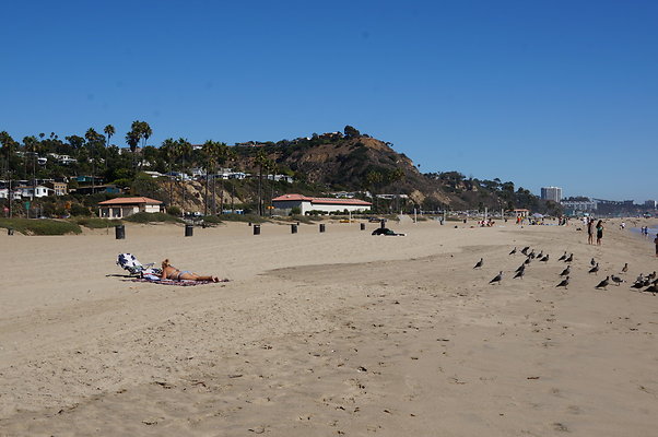 WIll Rogers.Beach.Towers.5.To.6.17